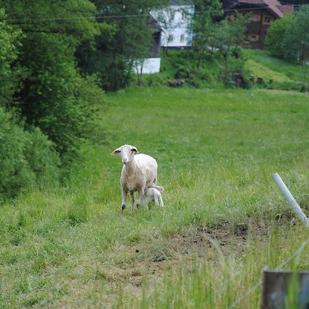 Landgasthof Seyrlberg Reichenau im Mühlkreis Eksteriør billede