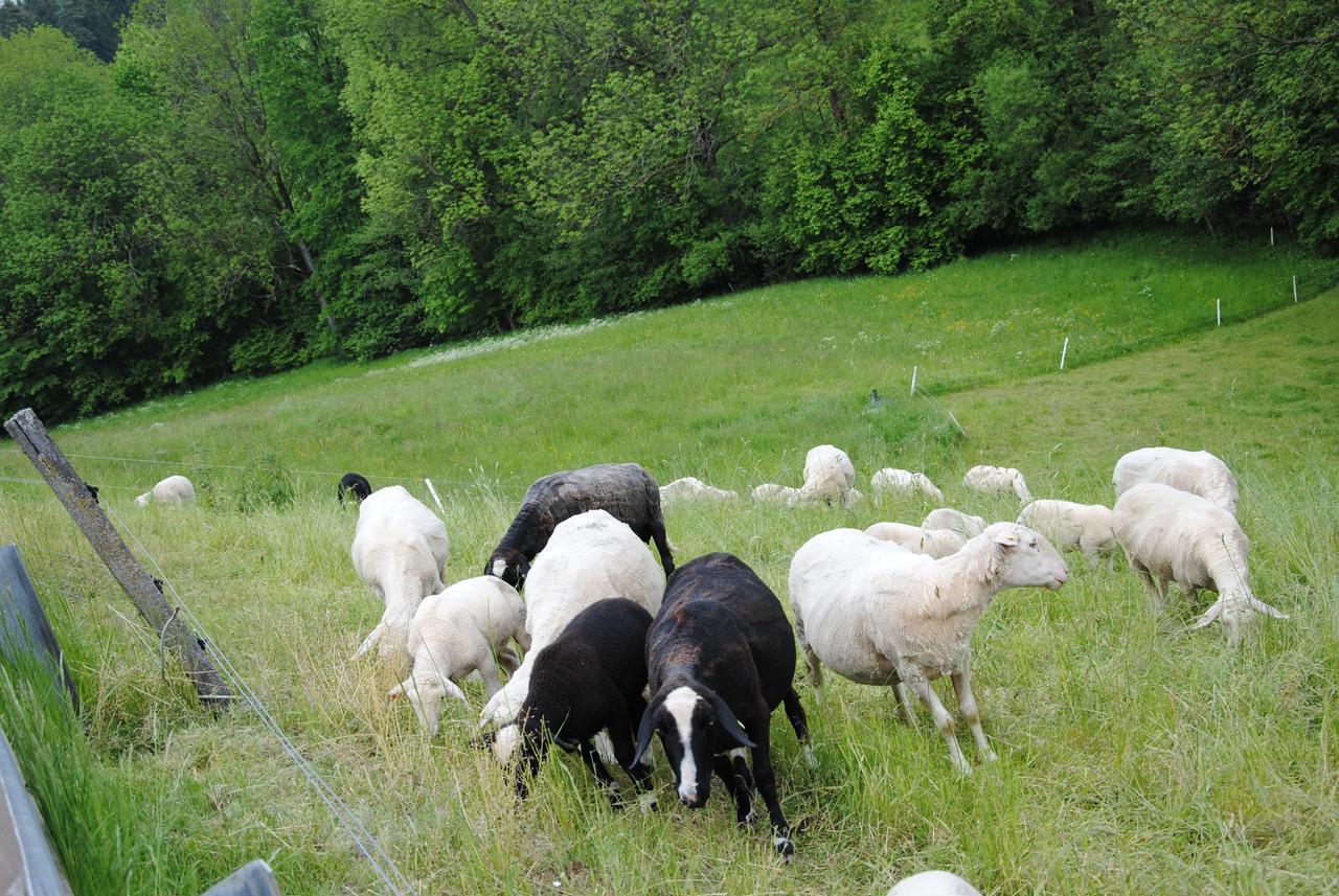 Landgasthof Seyrlberg Reichenau im Mühlkreis Eksteriør billede